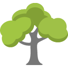 Gainesville Tree Removal