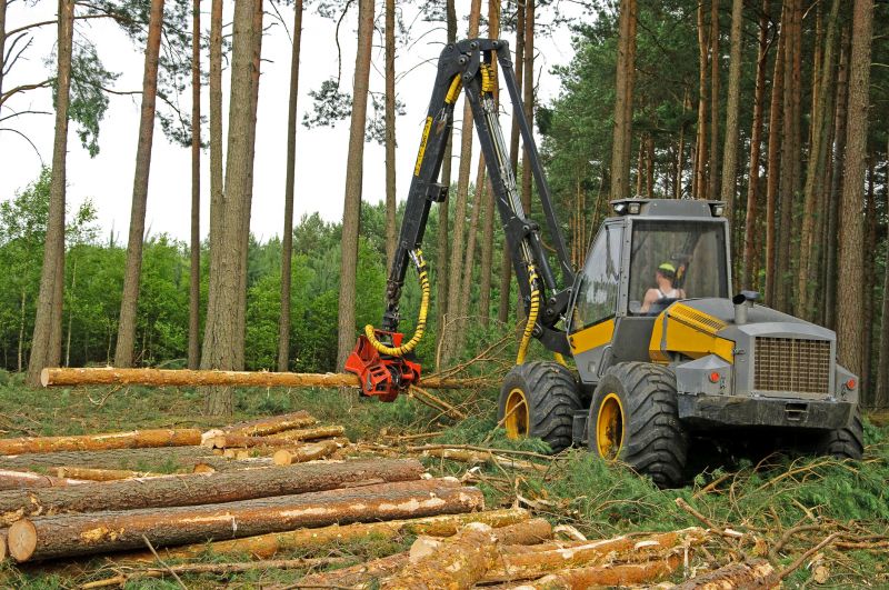Fallen Tree Removal Equipment